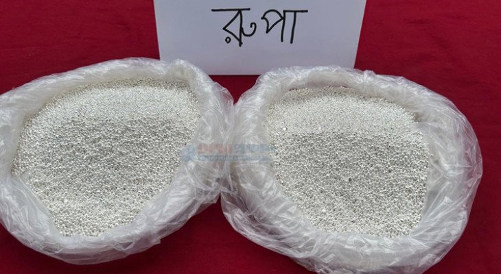 চুয়াডাঙ্গার সীমান্ত থেকে ২২ লাখ টাকার ভারতীয় রুপা জব্দ